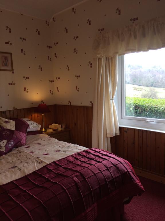 Rhiwiau Guesthouse لانفيرفيخان المظهر الخارجي الصورة