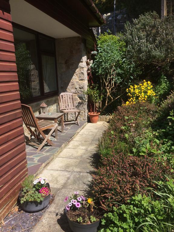 Rhiwiau Guesthouse لانفيرفيخان المظهر الخارجي الصورة