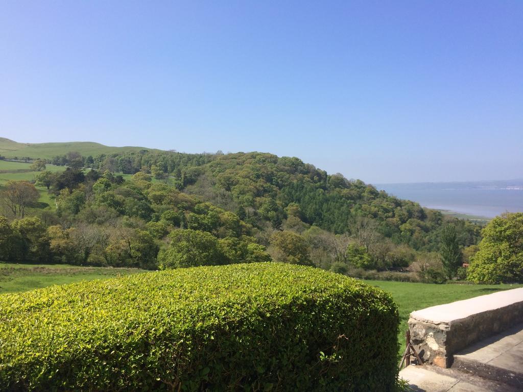 Rhiwiau Guesthouse لانفيرفيخان المظهر الخارجي الصورة