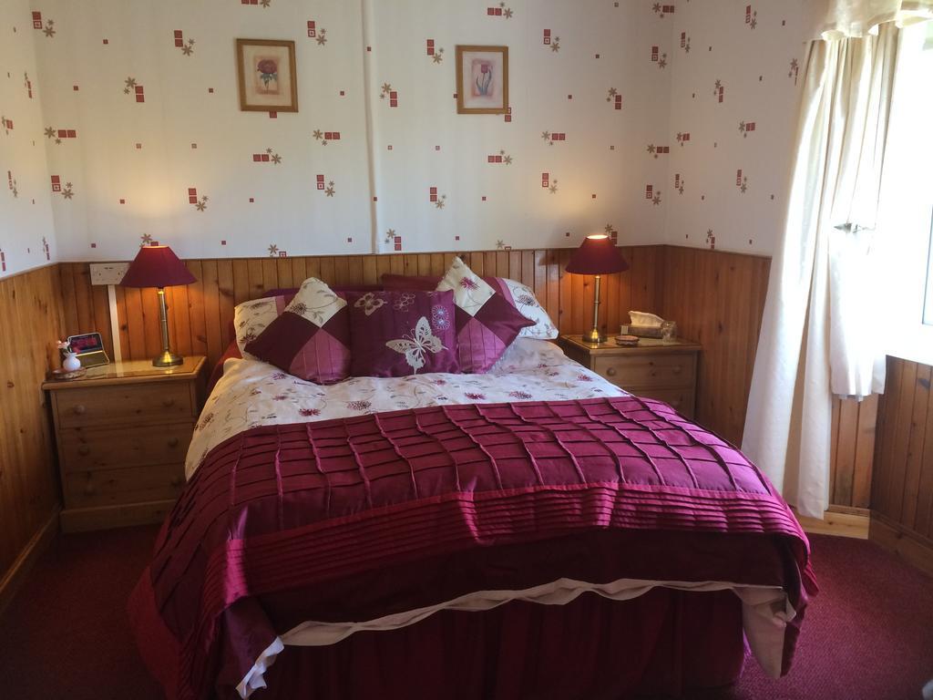 Rhiwiau Guesthouse لانفيرفيخان المظهر الخارجي الصورة